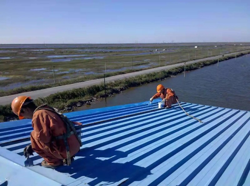 山阳钢结构屋面漏水原因